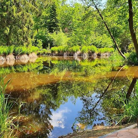 Midden In De Friese Bossen Op Landgoed Princenhof Oranjewoud Exteriér fotografie