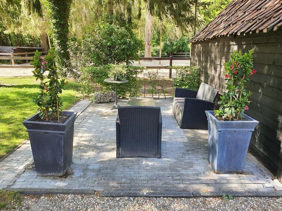 Midden In De Friese Bossen Op Landgoed Princenhof Oranjewoud Exteriér fotografie