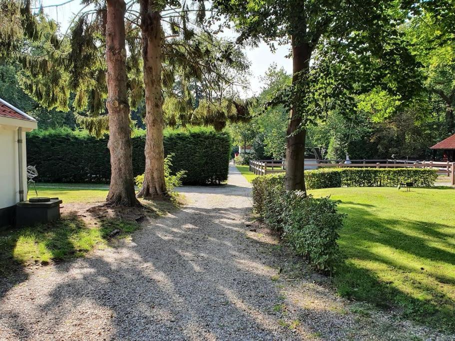 Midden In De Friese Bossen Op Landgoed Princenhof Oranjewoud Exteriér fotografie