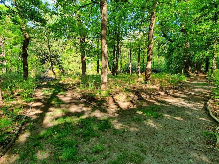 Midden In De Friese Bossen Op Landgoed Princenhof Oranjewoud Exteriér fotografie