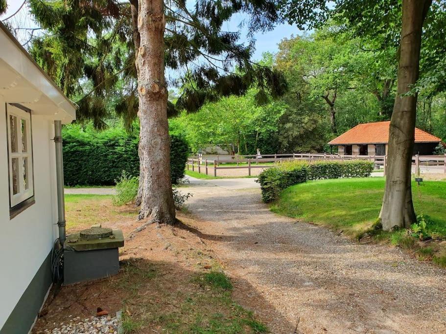 Midden In De Friese Bossen Op Landgoed Princenhof Oranjewoud Exteriér fotografie