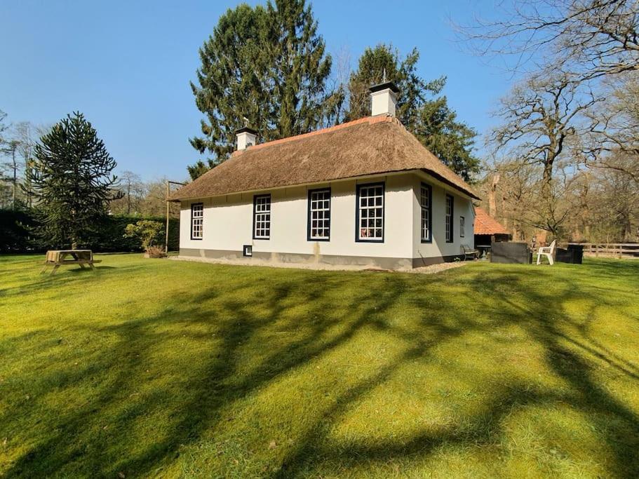 Midden In De Friese Bossen Op Landgoed Princenhof Oranjewoud Exteriér fotografie