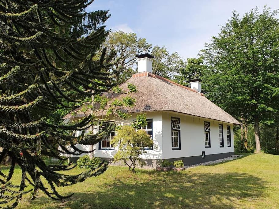 Midden In De Friese Bossen Op Landgoed Princenhof Oranjewoud Exteriér fotografie