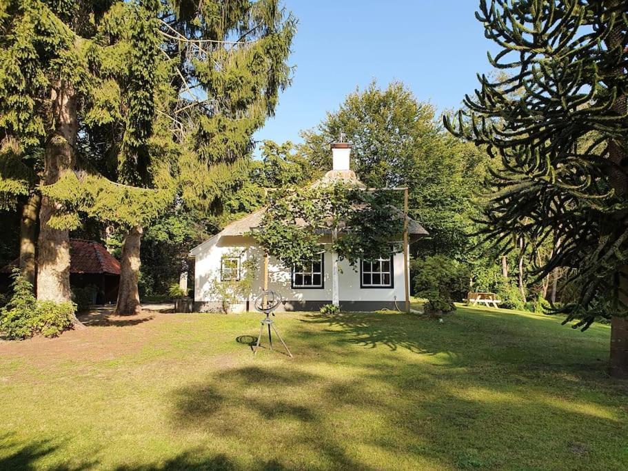 Midden In De Friese Bossen Op Landgoed Princenhof Oranjewoud Exteriér fotografie
