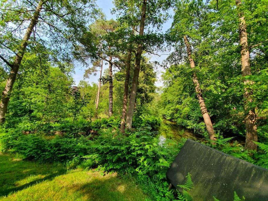 Midden In De Friese Bossen Op Landgoed Princenhof Oranjewoud Exteriér fotografie