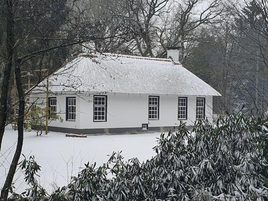 Midden In De Friese Bossen Op Landgoed Princenhof Oranjewoud Exteriér fotografie