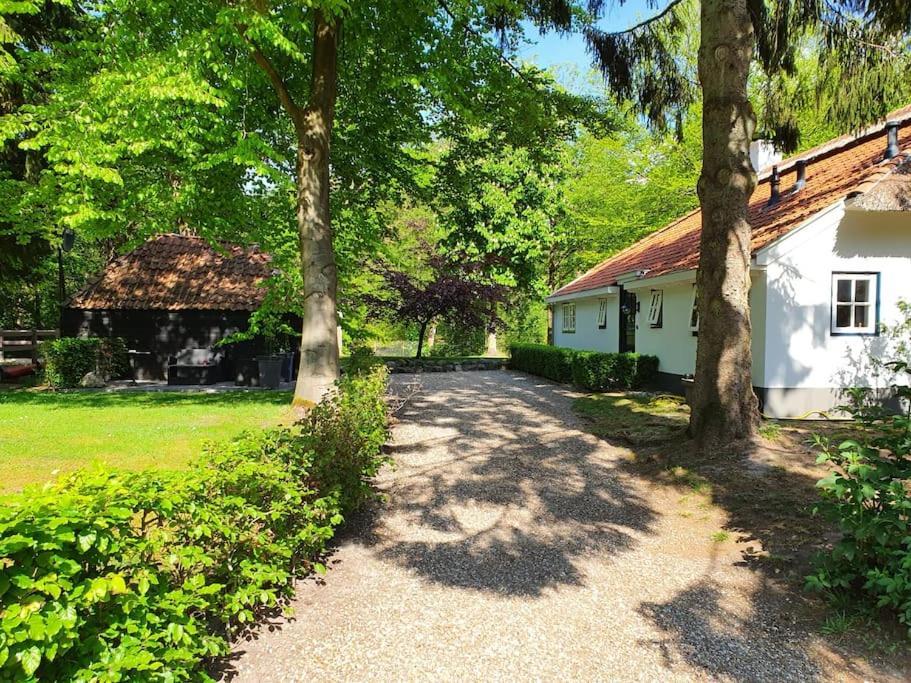 Midden In De Friese Bossen Op Landgoed Princenhof Oranjewoud Exteriér fotografie