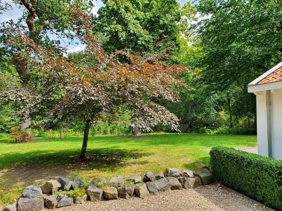 Midden In De Friese Bossen Op Landgoed Princenhof Oranjewoud Exteriér fotografie