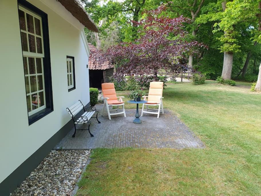 Midden In De Friese Bossen Op Landgoed Princenhof Oranjewoud Exteriér fotografie