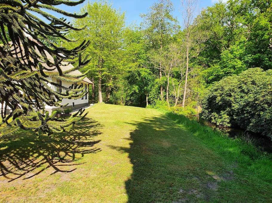 Midden In De Friese Bossen Op Landgoed Princenhof Oranjewoud Exteriér fotografie