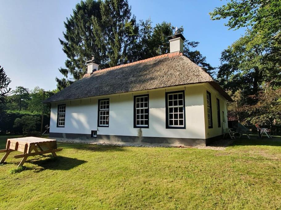 Midden In De Friese Bossen Op Landgoed Princenhof Oranjewoud Exteriér fotografie