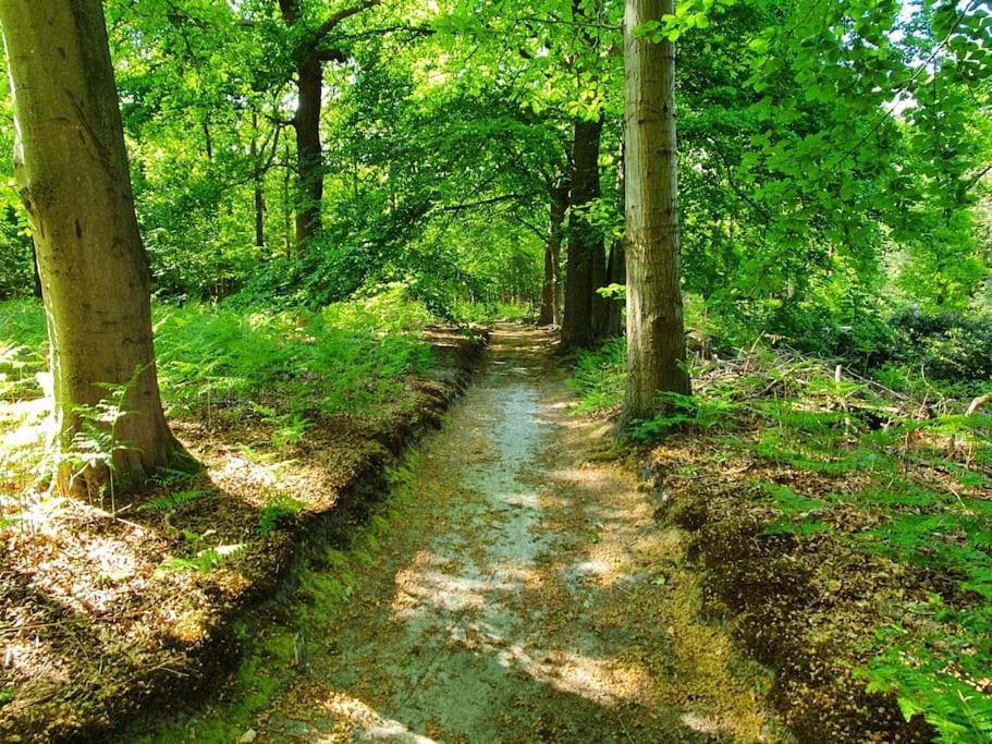 Midden In De Friese Bossen Op Landgoed Princenhof Oranjewoud Exteriér fotografie