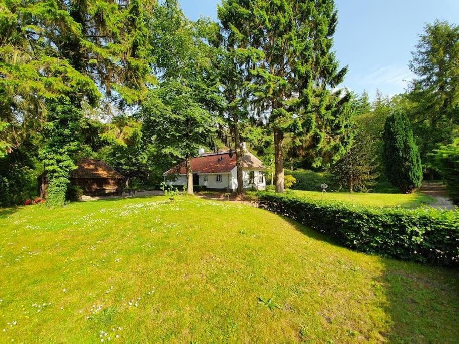 Midden In De Friese Bossen Op Landgoed Princenhof Oranjewoud Exteriér fotografie